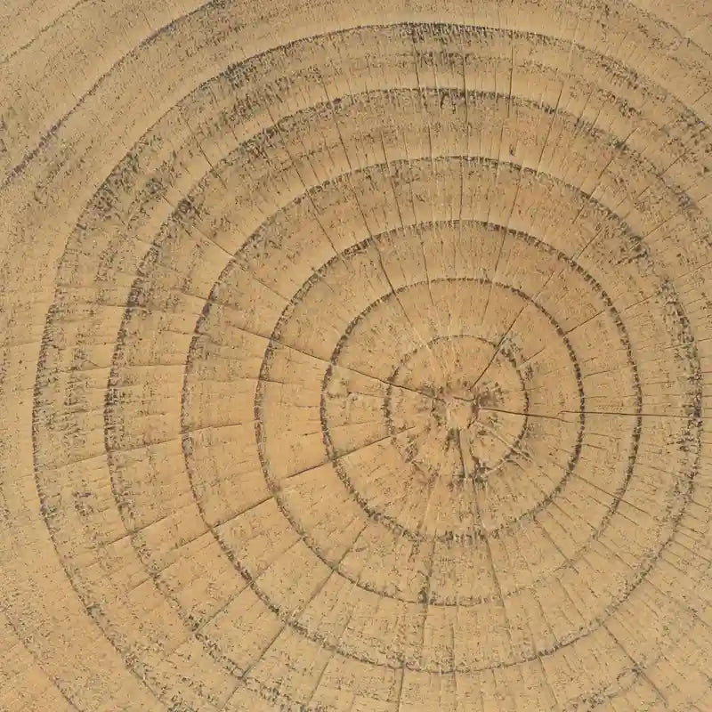 14.5 Modern Round Side Table with Stable Wide Base for Living Room or Bedroom